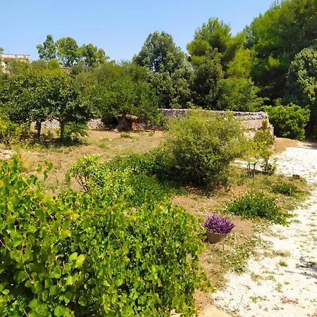 Holiday home Trullo Maestro *