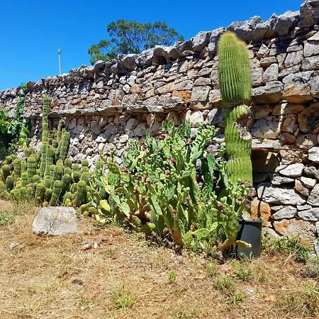 Trullo Maestro Holiday home *