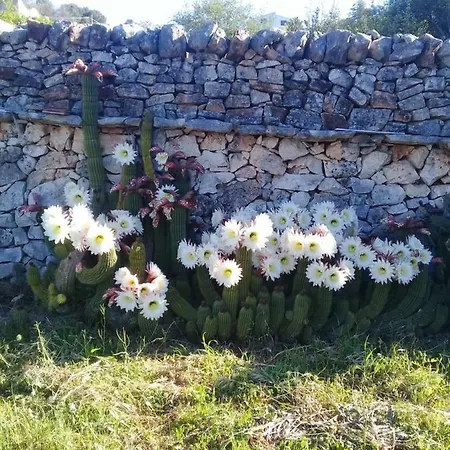 Trullo Maestro Holiday home *